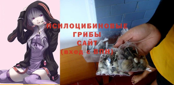 каннабис Новозыбков