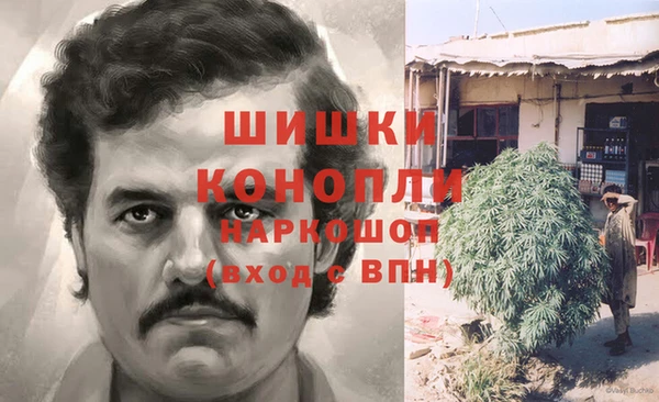каннабис Новозыбков
