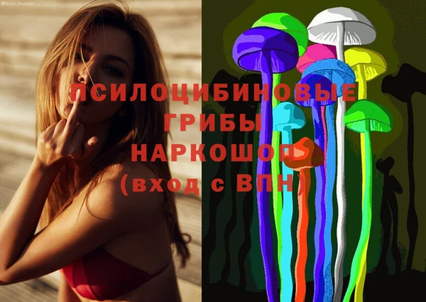 каннабис Новозыбков
